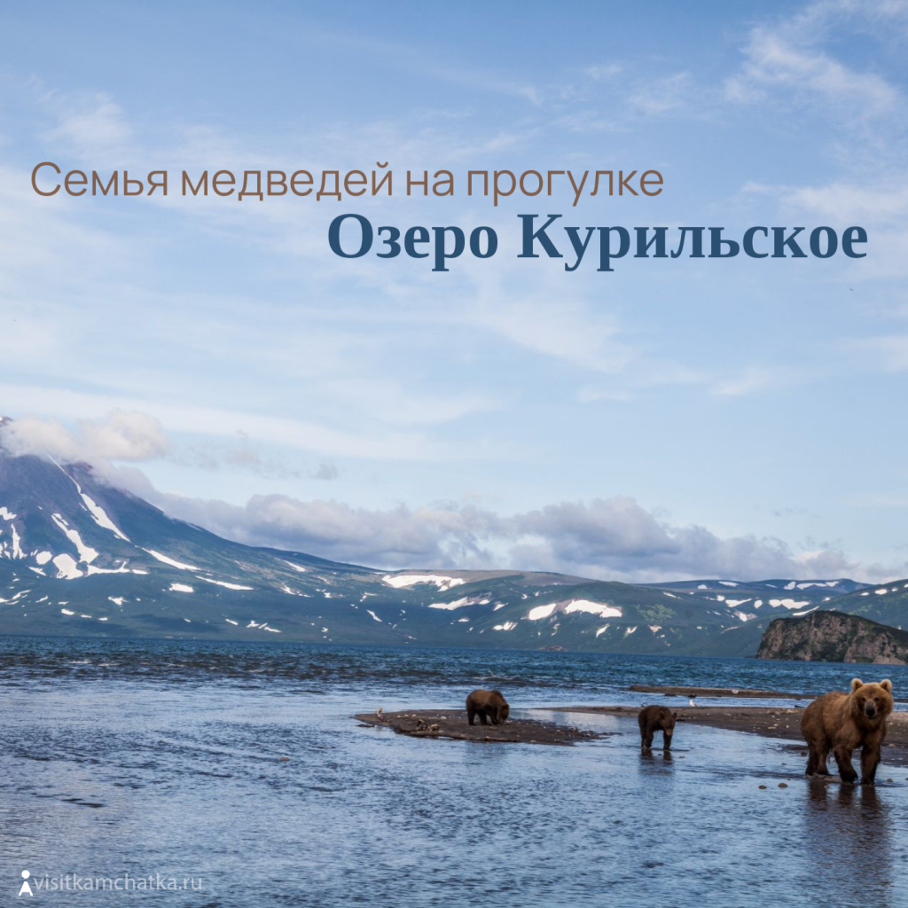 Копия Копия Копия Копия дд.png