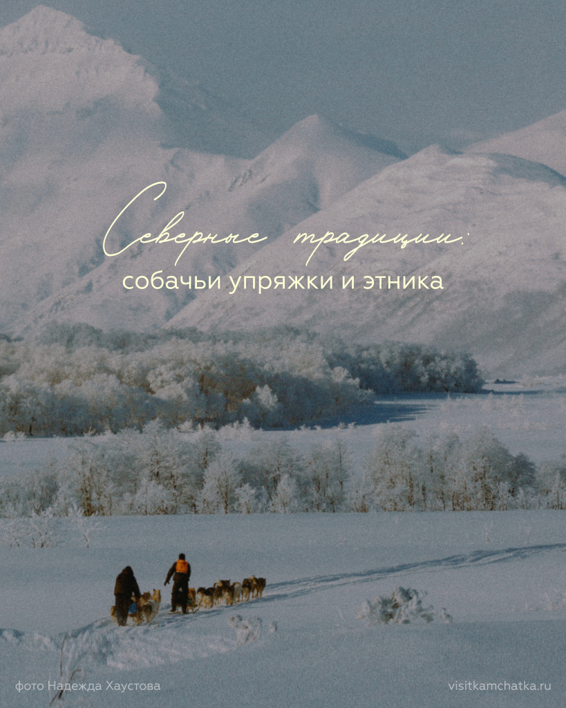 собаки_Монтажная область 1_Монтажная область 1.jpg