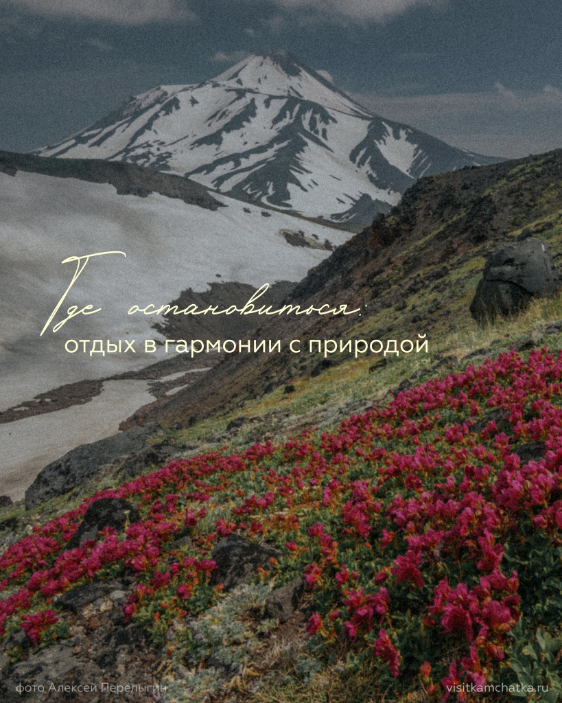 природа_Монтажная область 1 (1).jpg